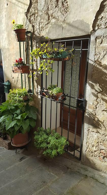 Armaiolo Relax Apartment Rapolano Terme Luaran gambar